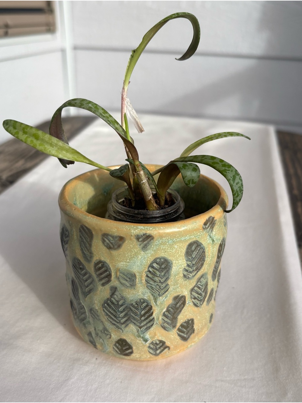 Handmade Leafprint Stoneware Mug/Planter